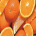 Cosas de Color Naranjas,  en Material de Oficina