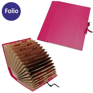 Carpeta clasificador acorden folio