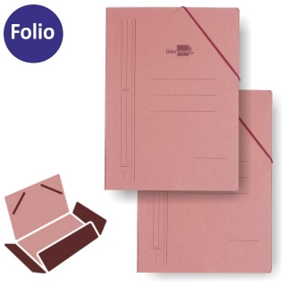 Carpeta gomas Folio 3 Solapas cartn  Liderpapel CG16