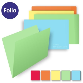 Subcarpetas Folio, cartulina de colores